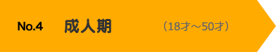 No.4 成人期（18才〜50才）